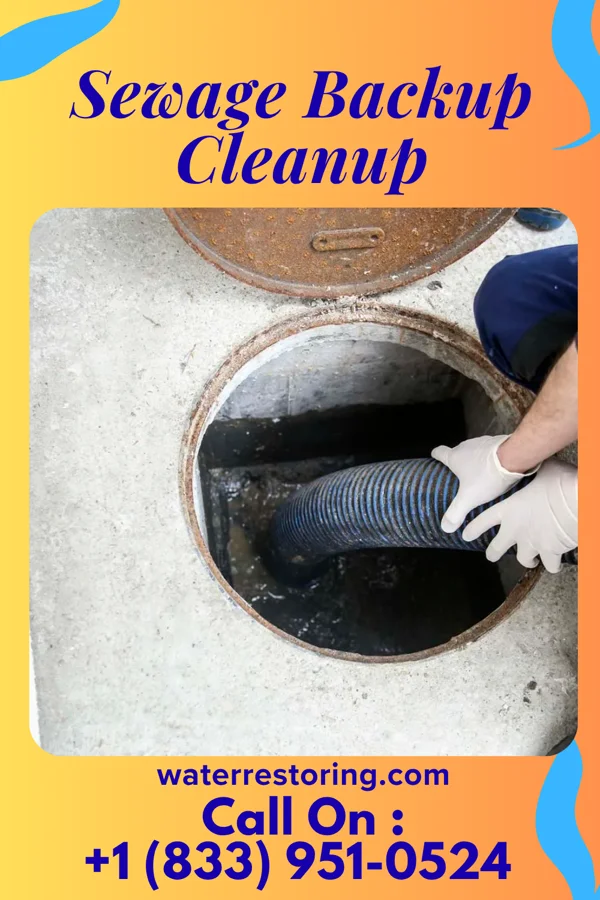 Sewage Backup Cleanup in Melbourne Village, FL